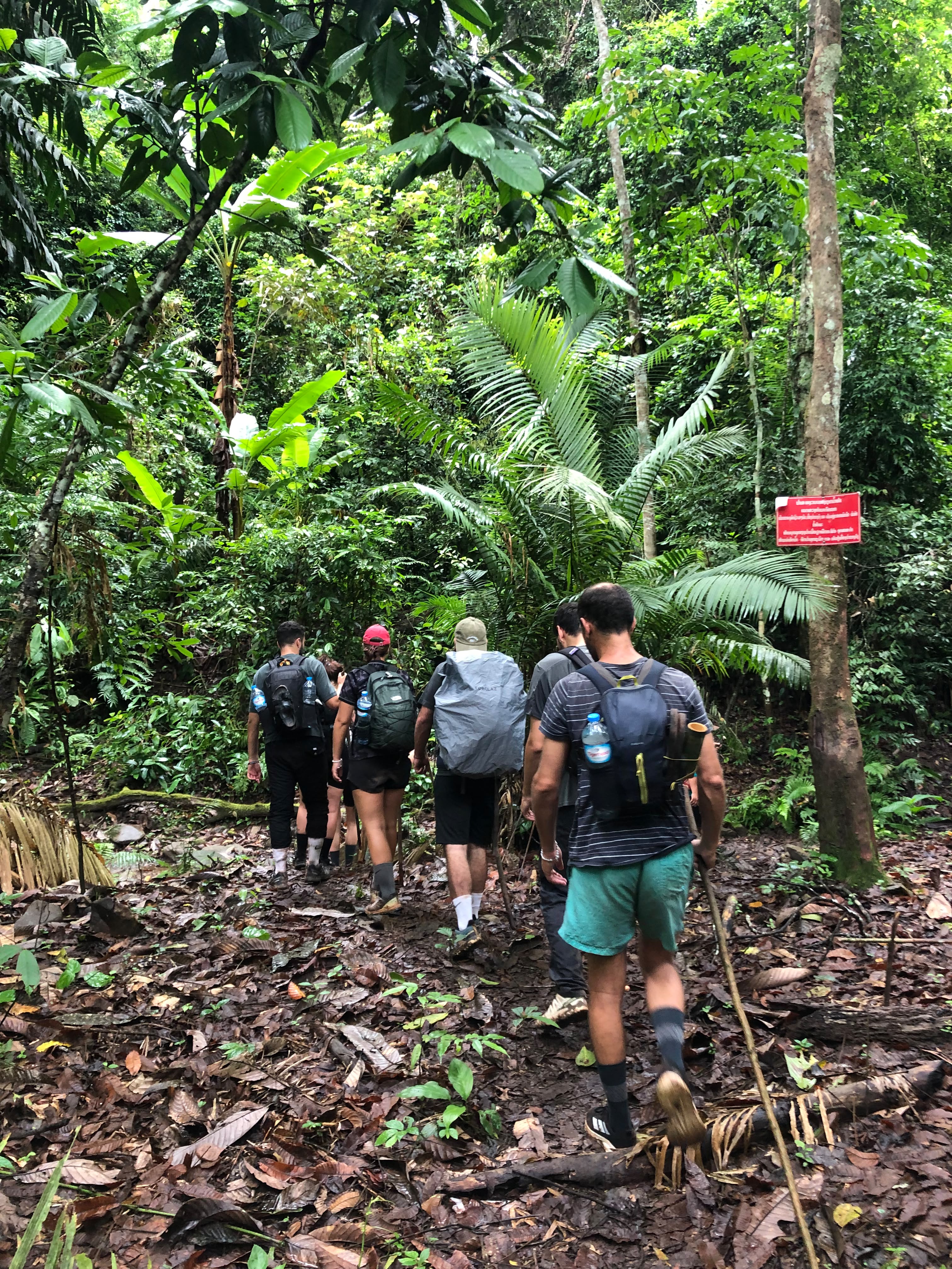 Jungle trekking trail